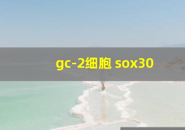 gc-2细胞 sox30